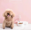 Automatic Water Fountain and Food Bowl for Pets (1pc)