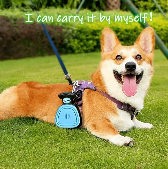 💩🐶 Scoop It. Fold It. Go! 🐾✨