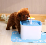 Ultra-Quiet Automatic Pet Water Fountain for Cats and Dog