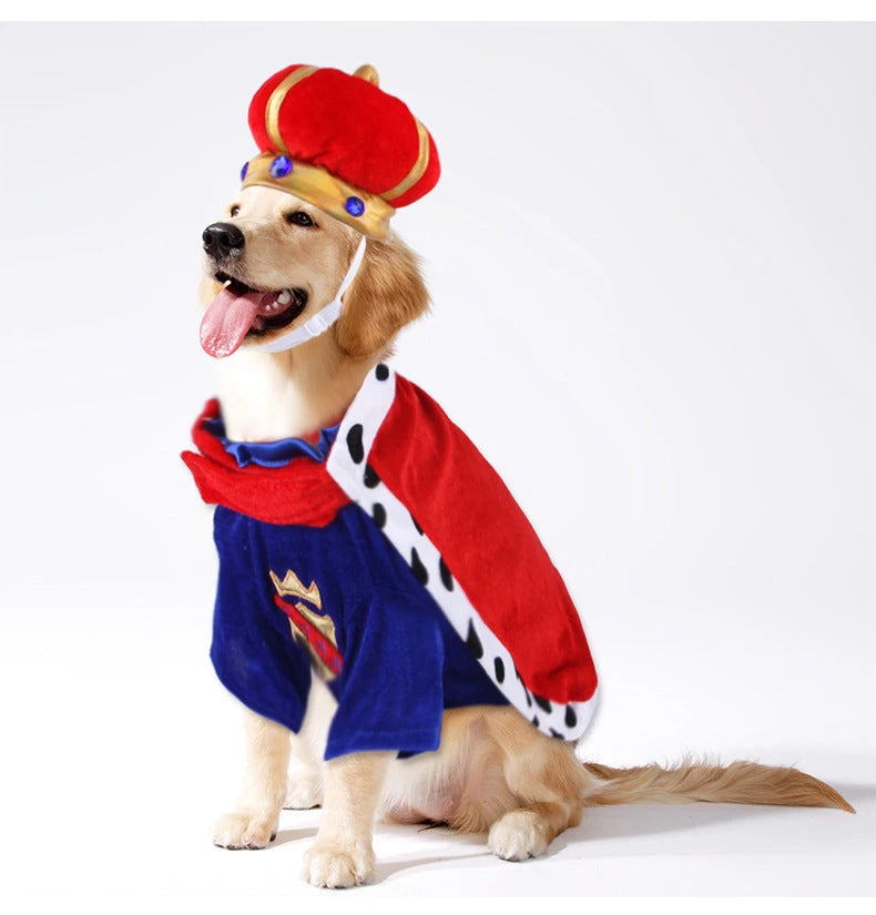 Dog Cape Accessory Set for Pet King