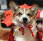 Vampire King Halloween Cape for Pets